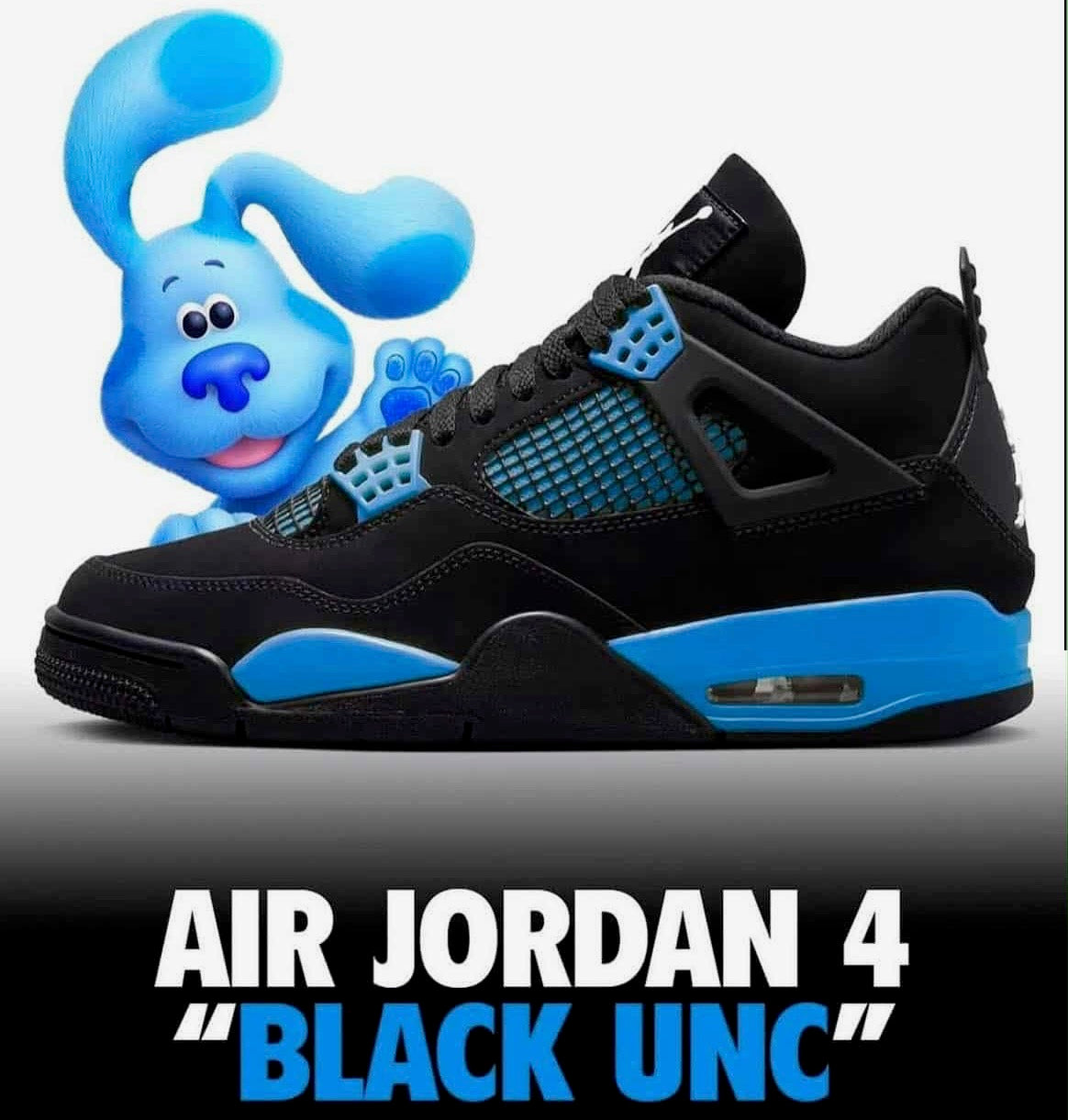 Air Jordan 4 Black UNC